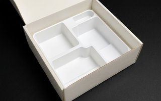 Inserto inferior para teléfono satélite