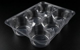 Bandeja cosmética de 6 alvéolos