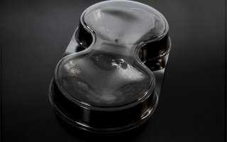 Envase para 2 vieiras
