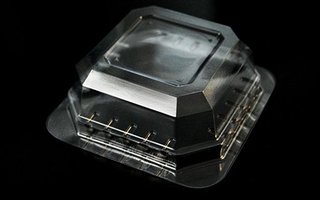 Envase pequeño para cebo vivo