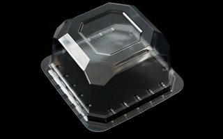 Envase blíster con respiradero para cebo vivo